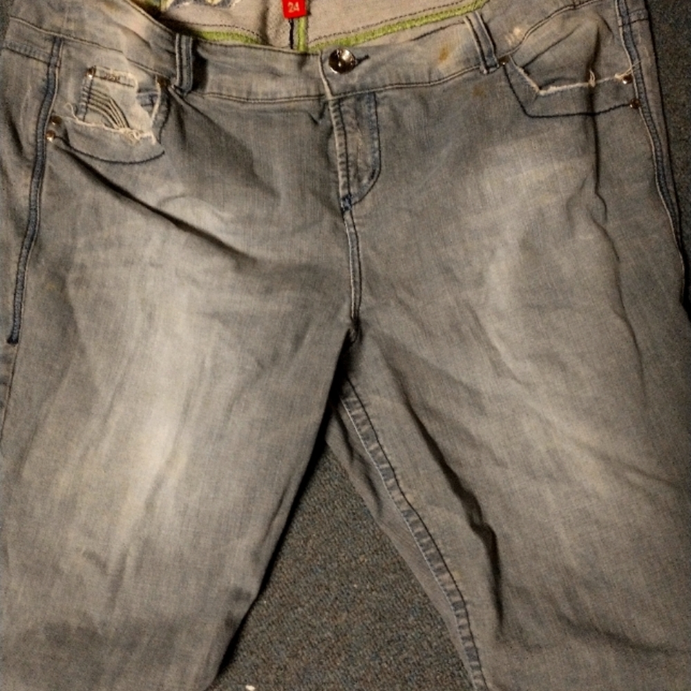 Ladies capris size 24.